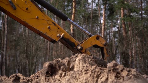 Ukrainians Expanding Defenses and Minefields Along Belarus Border