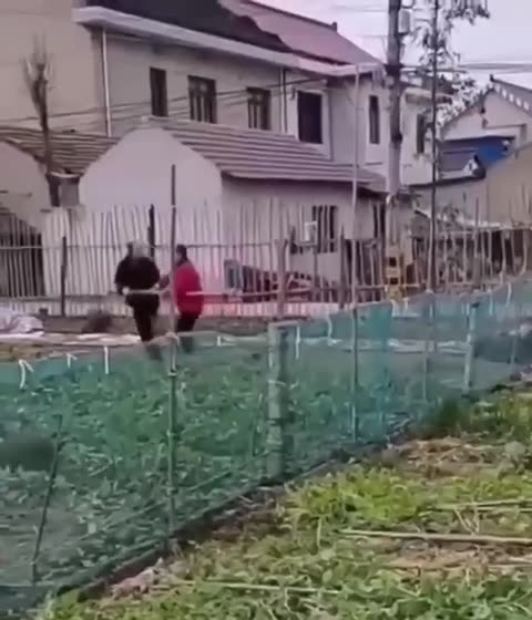 CHINA: Xi Jinping is hiring 87,000 agriculture police officers...