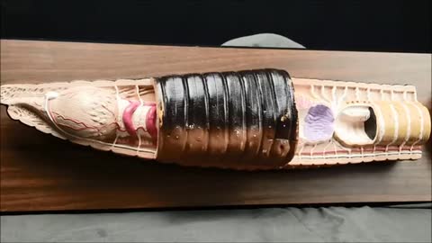Earthworm model_Cut