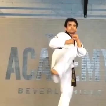 Taekwondo Kicking
