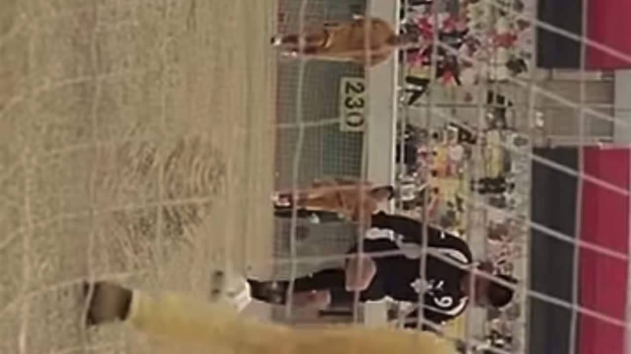 Le match de foot le plus violent