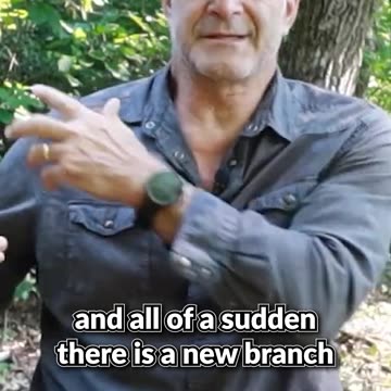 Let's get rid of those THORNS!