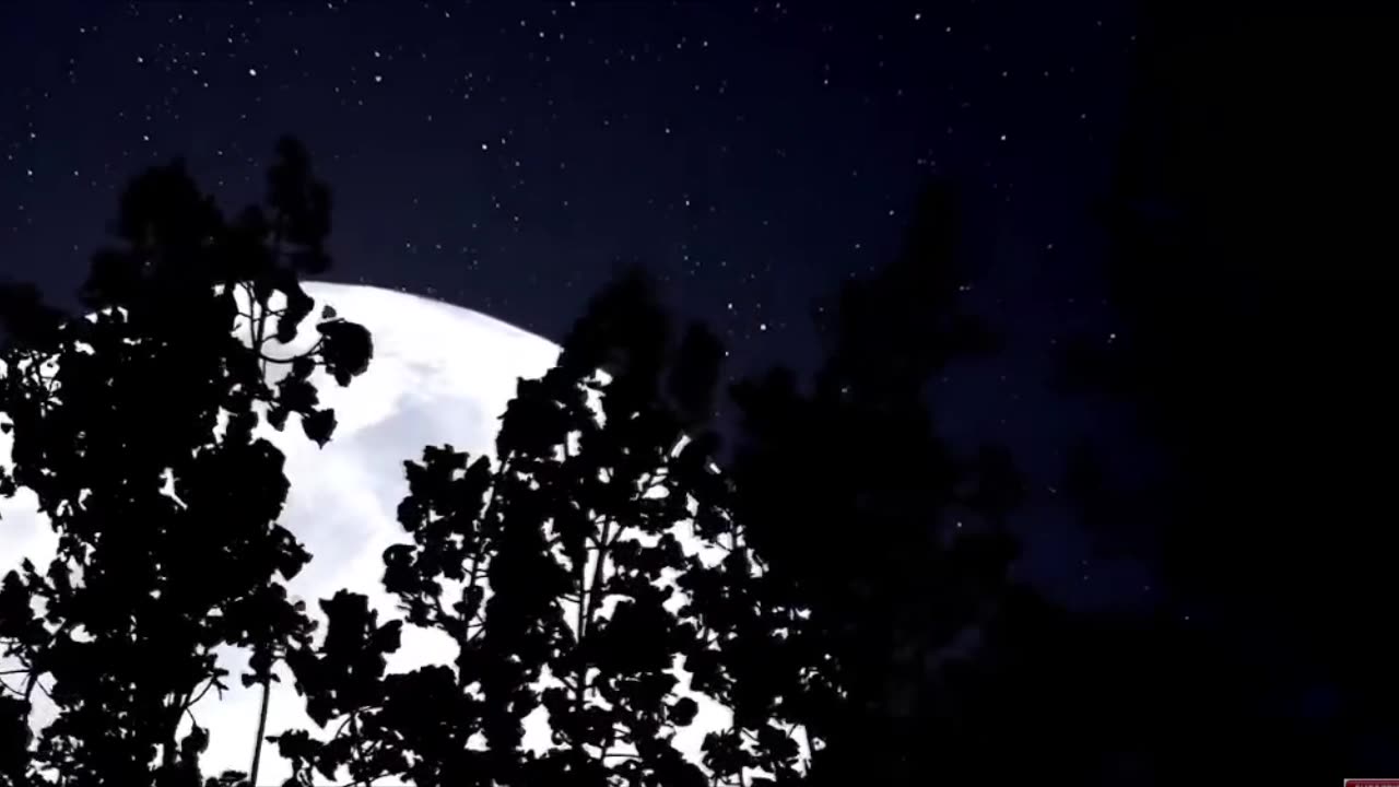 A Song From The Past "You Will Be Missed" 2009