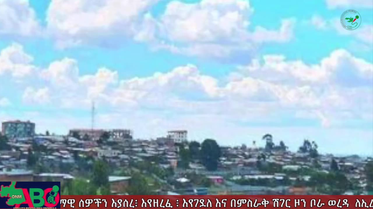 ONM-ABO -ጥቅምት 8 /2023 ዓም ሳምንታዊ የኦሮሞ ነፃነት ሠራዊት ዉሎ ።