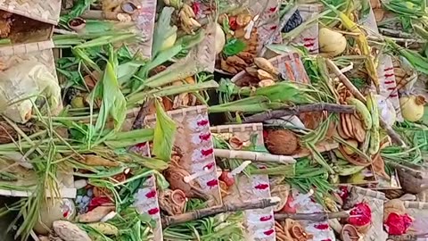 Chhath Puja Video