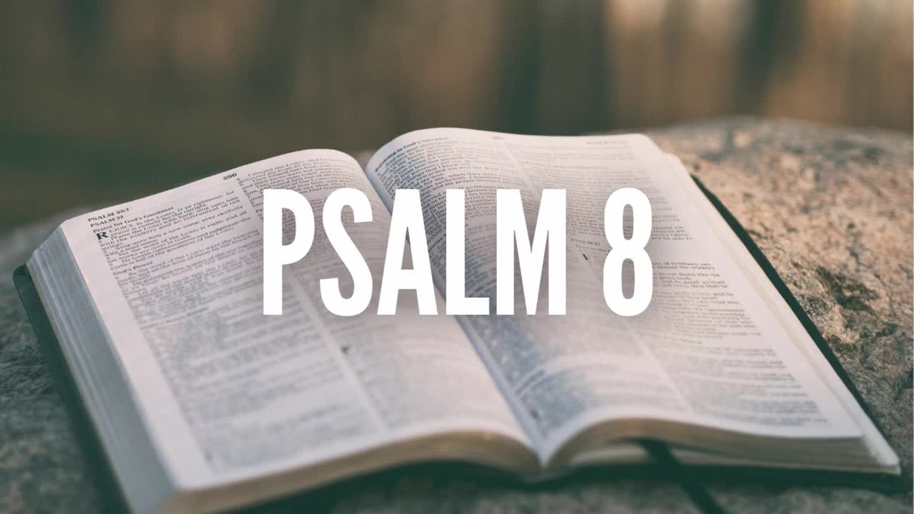 Psalm 8