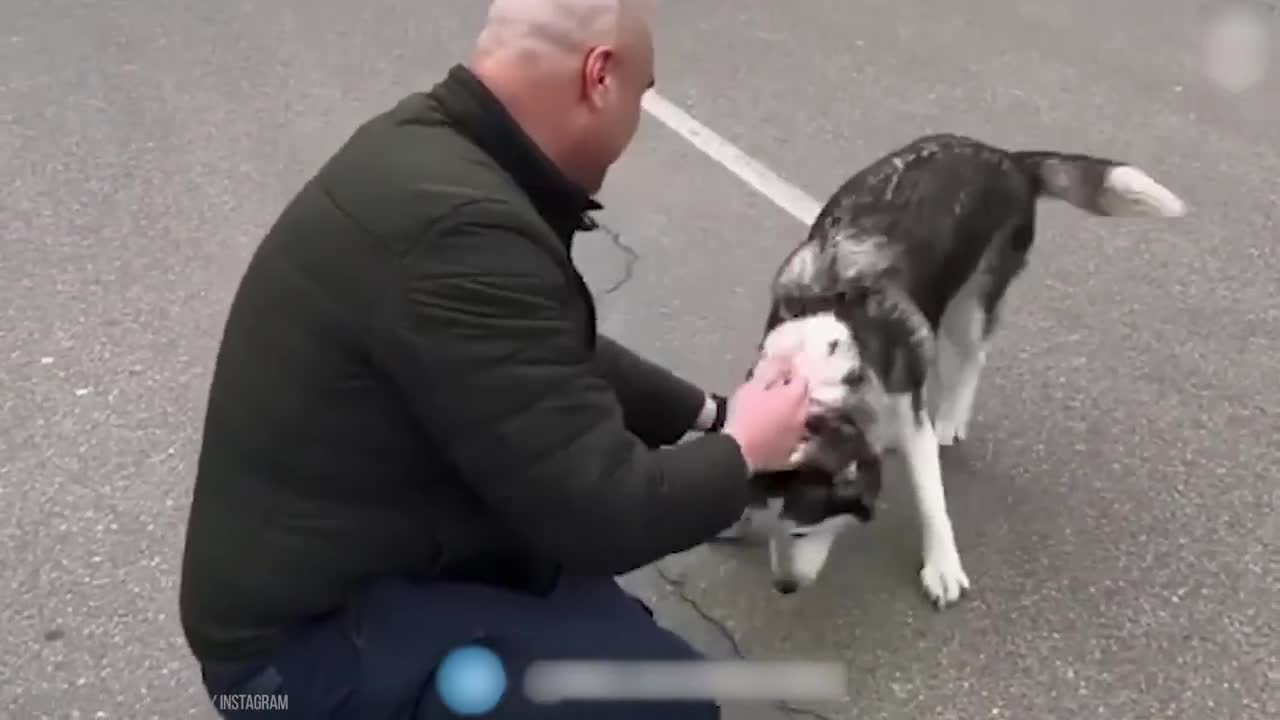 Animals Reunited With Owner After Years !