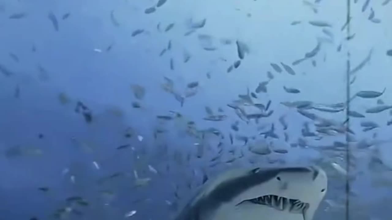 North sea the most danger sea in the world