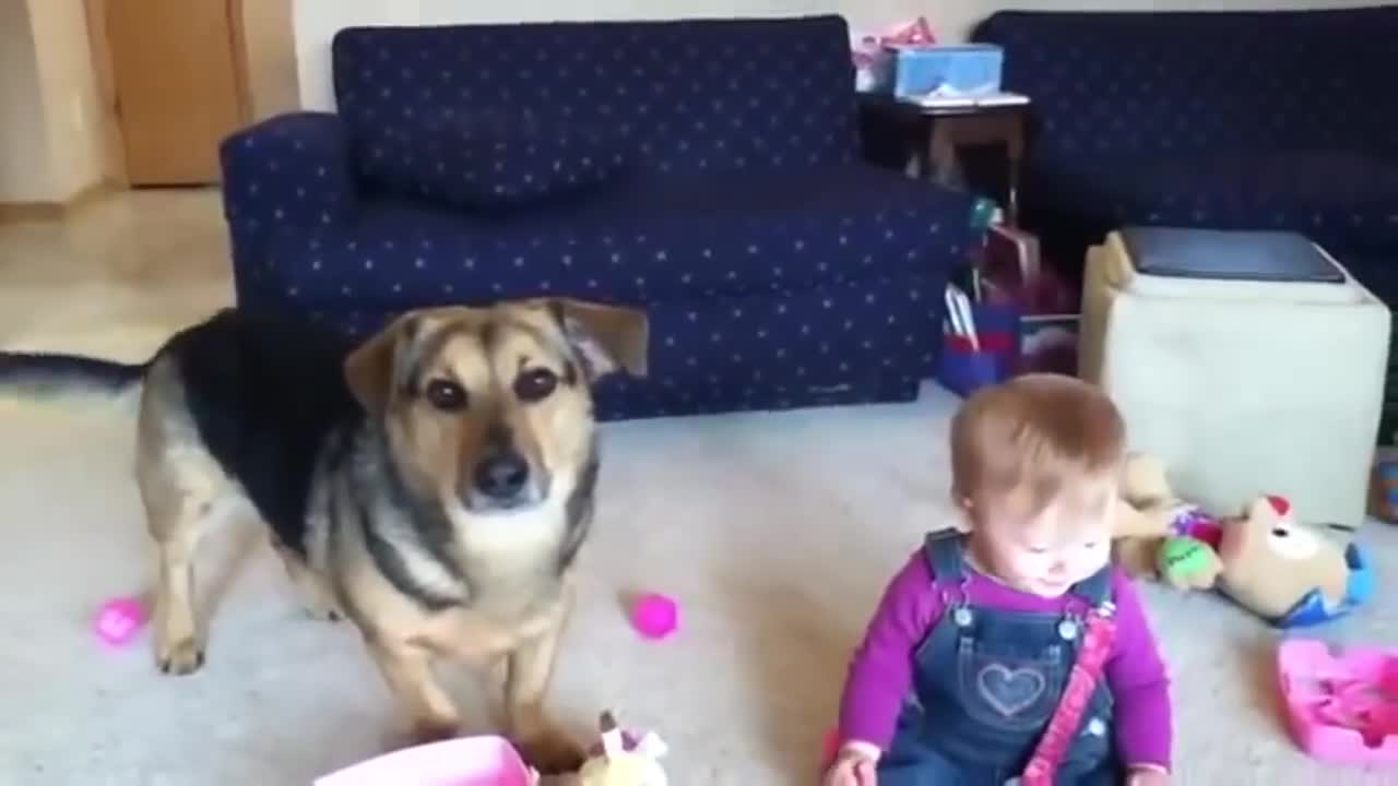 Bebe riendo a carcajadas :) Perro explotando pompas de agua