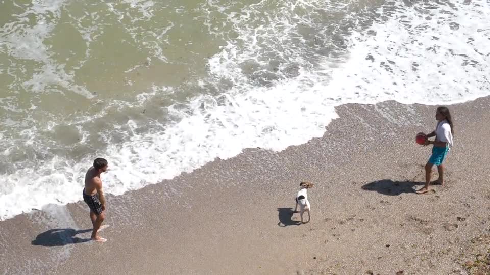 Playing with dog on beach