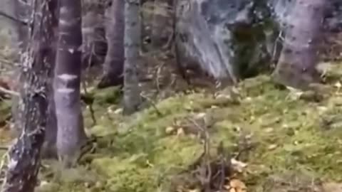 Clips you need to see 😮🌏