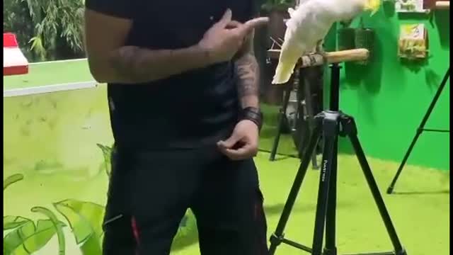 Baghbghan dances with a man to the music in a beautiful way