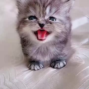 Can not find the mother anxious🙊🙊