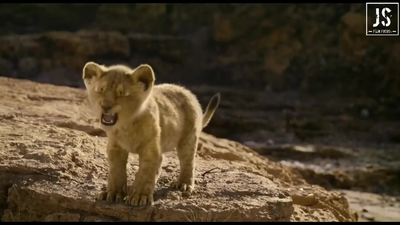 Timon_Pumba find simba _ Telugu sean _ The lion king 2019 video trending