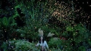 Katy Perry - Roar