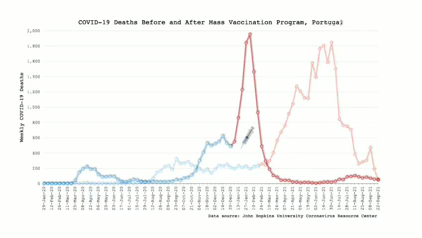 Covid Jab - Results of Mass Vaccination