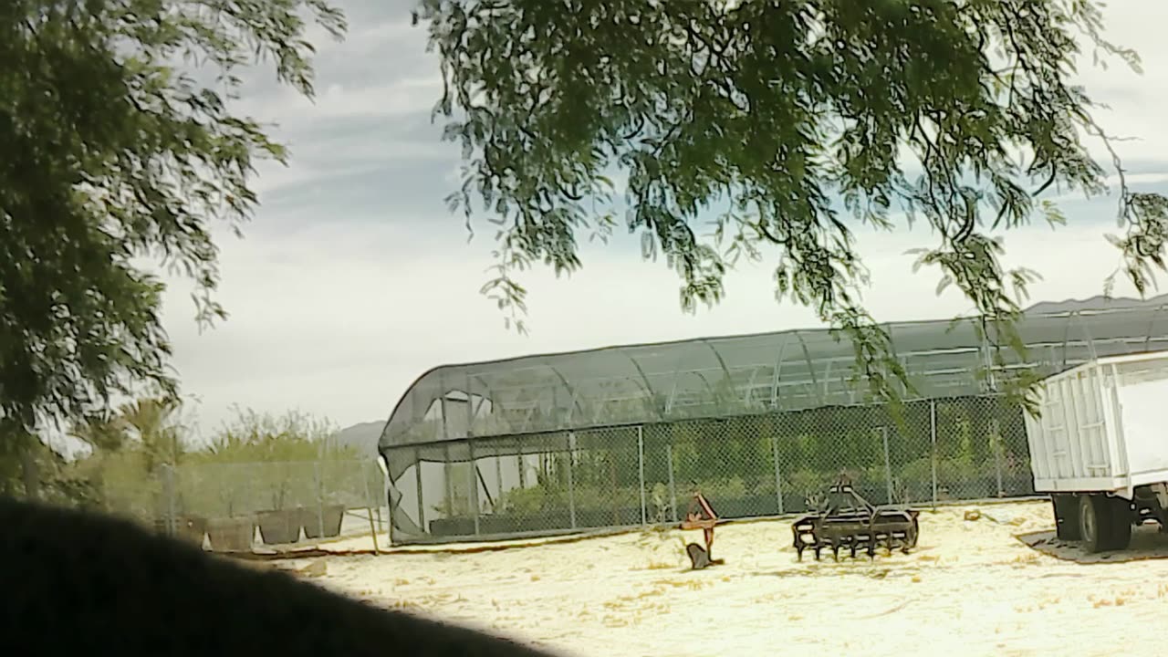 Jeff's place
