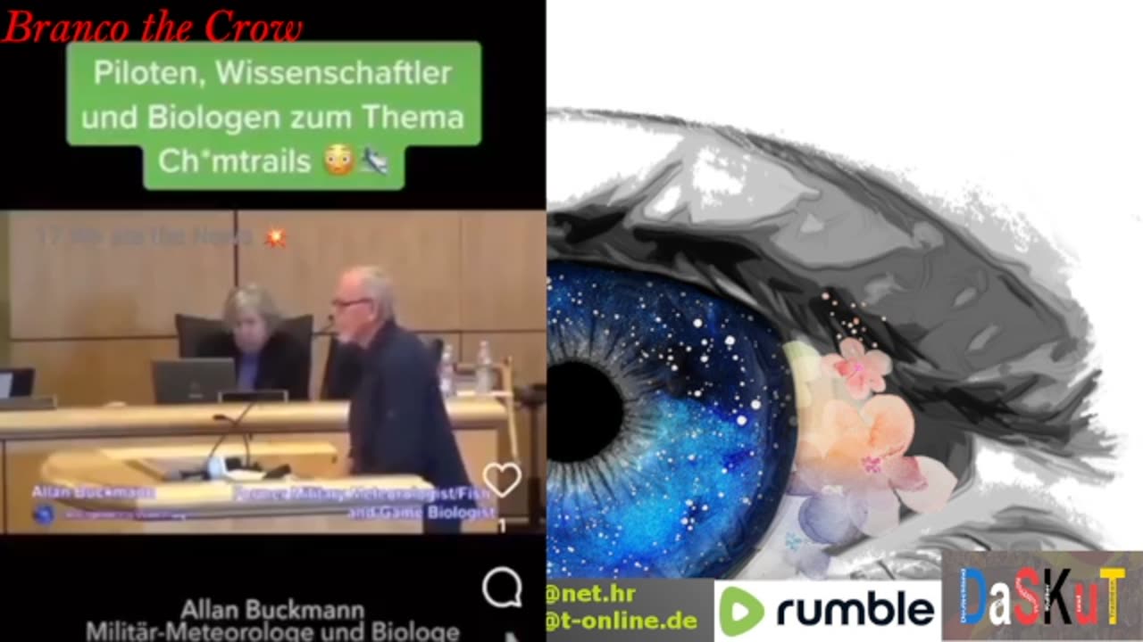 The best off - Branco the Crow