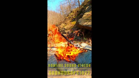 Bonfire Bliss | #Short & Relaxing Campfire Ambience