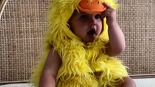 It's a Duck!