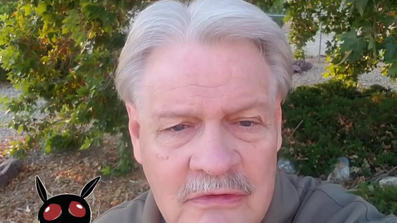 Don't Shoot The Moths