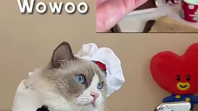 I’m starting to get used to it 🙃