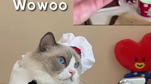 I’m starting to get used to it 🙃