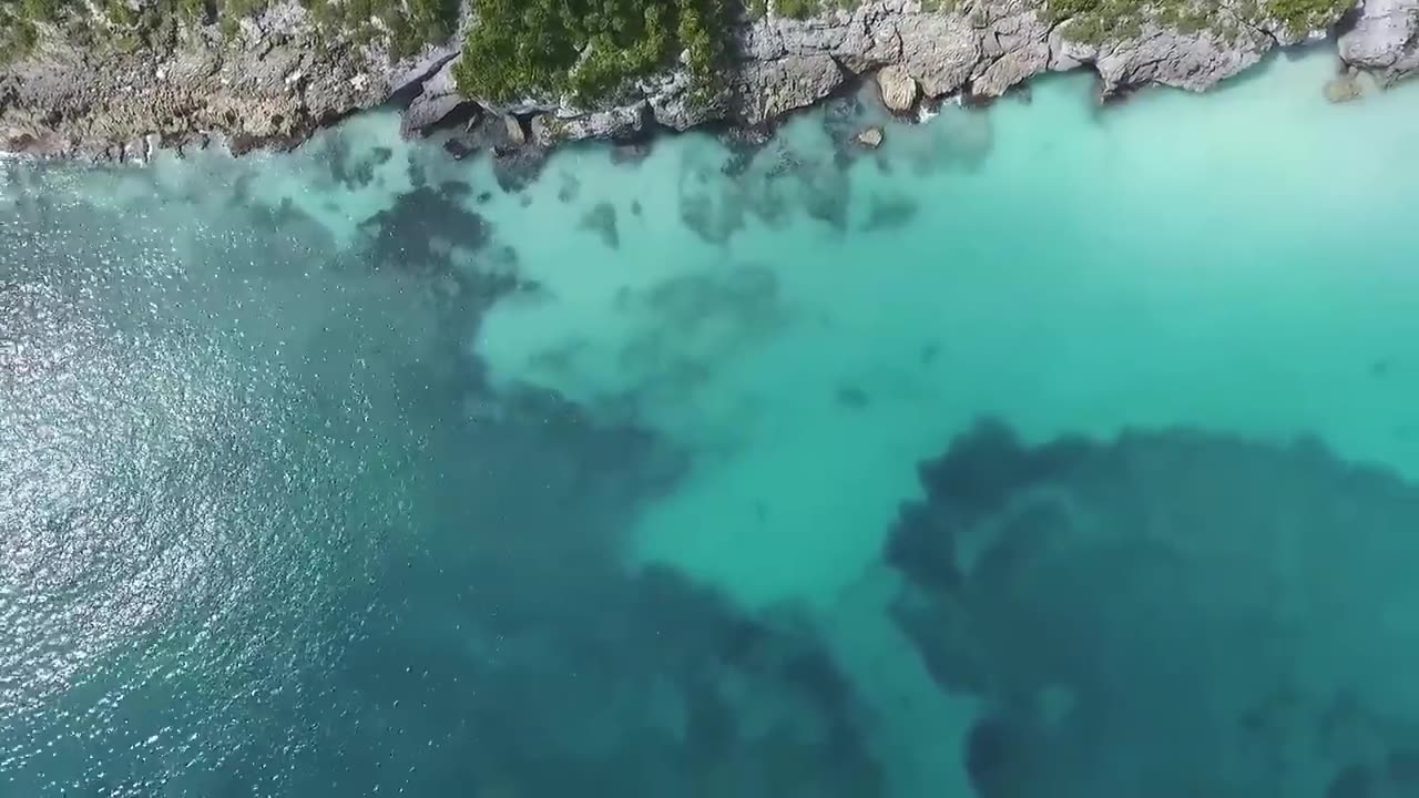 Sea waves & beach drone video