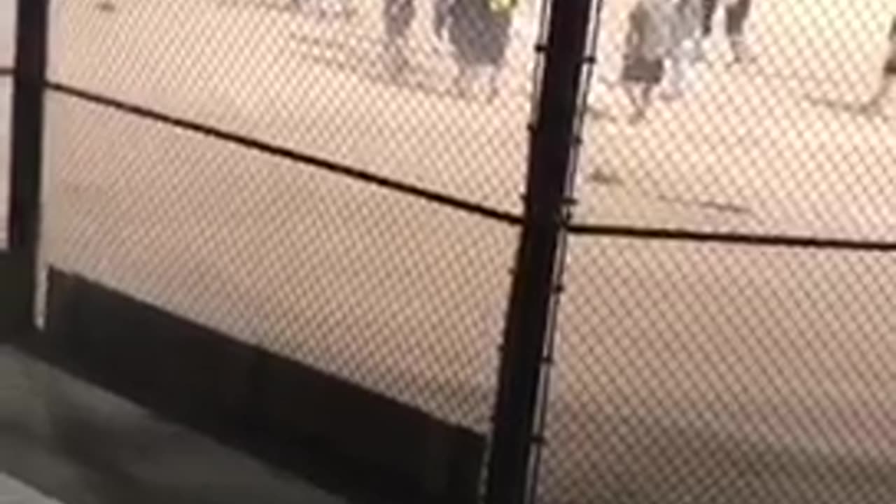 Fight at softball