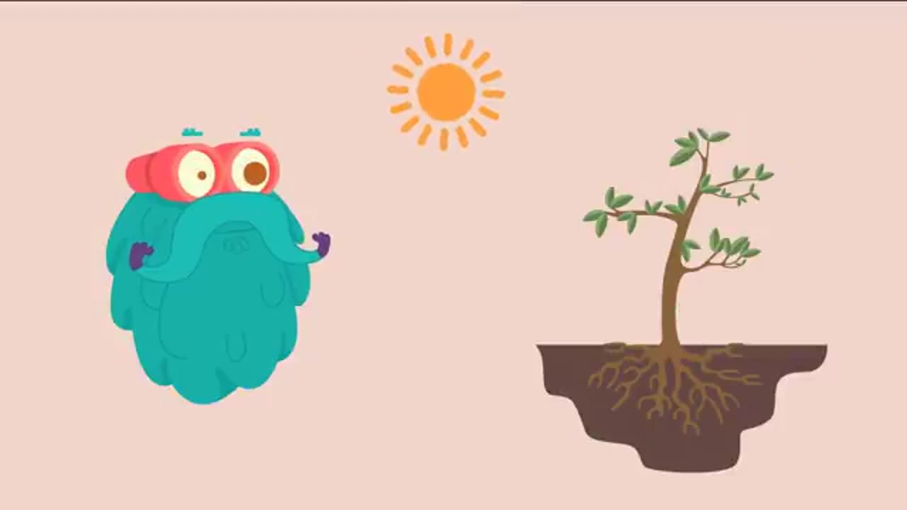 Photosynthesis _ The Dr. Binocs Show _ Learn Videos For Kids