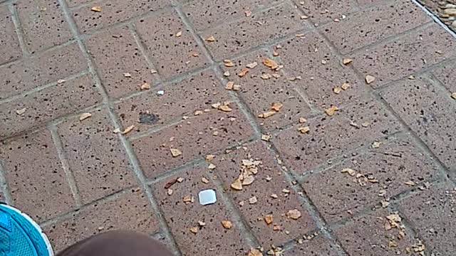 Just When You Start Recording