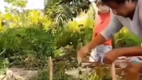 TEAMWORK MAKES DREAM WORK.🤣🤣