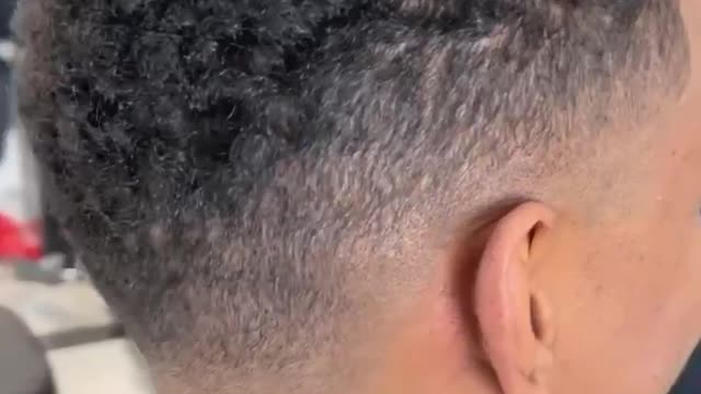 Davestykelv