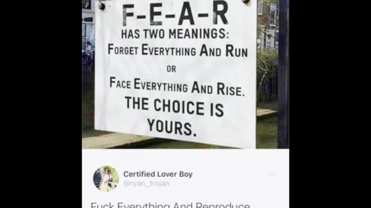 Random Memes 400
