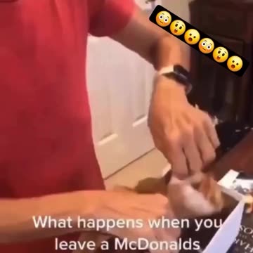 McDonalds: The Choice Is Yours