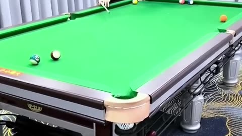 Top funny video Billiards 2024-Million Views