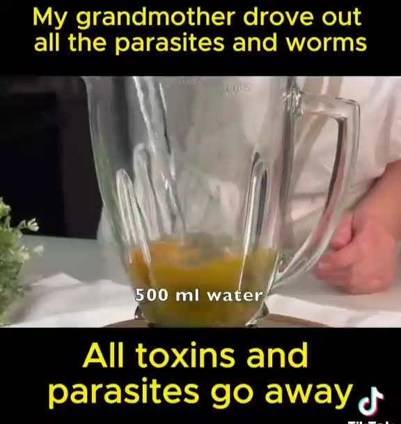 The Anti-Parasitic Power of Pumpkin Seeds/Pumpkin Milk | Home Brew Remedy