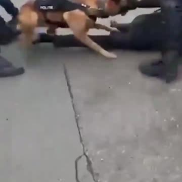 Vid: Candace Owens Disgusted over VAX Protests Assaults for Dutch