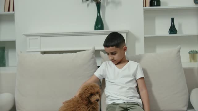 kid with dog