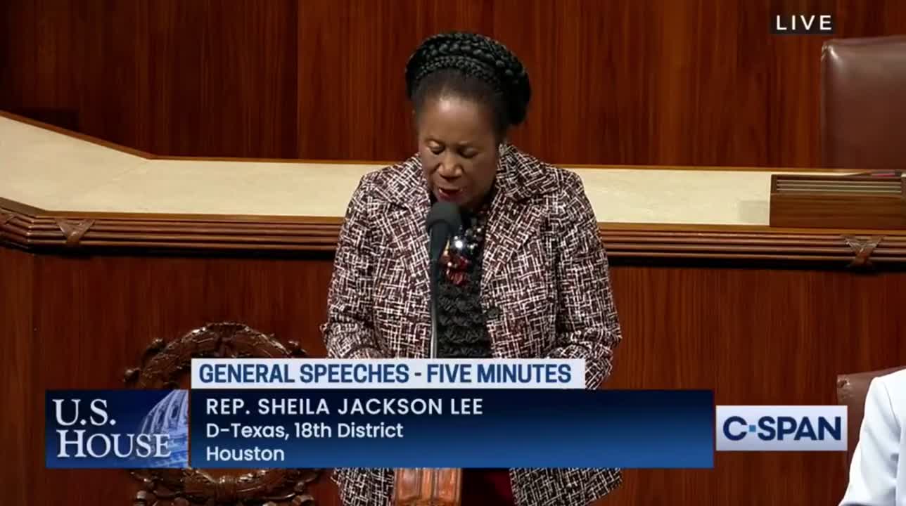 Rep. Sheila Jackson Lee Claims Reparations Could Have Cut Down on Black Covid-19 Deaths