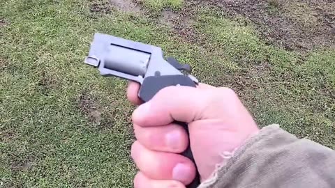 Switch Gun #shorts - TheFirearmGuy