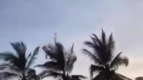 The end 😂😂😂 #shorts #fails #funny #laugh #viral #idiotsradar