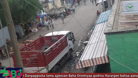 Qophii Arraata Biyyoolessa Oromiyaa Muddee 8, 2023