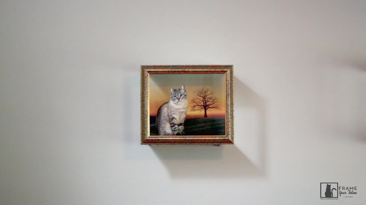 Frame Your Feline Moments: "A Beethoven Feeling"