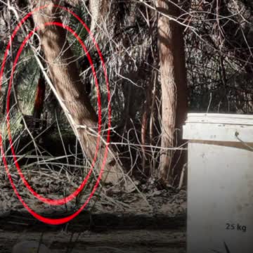 Clash between Iraqi regiment and members of Daesh