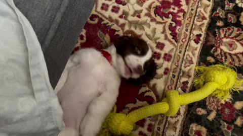 Ashlyn & Link - Playing Under A Futon