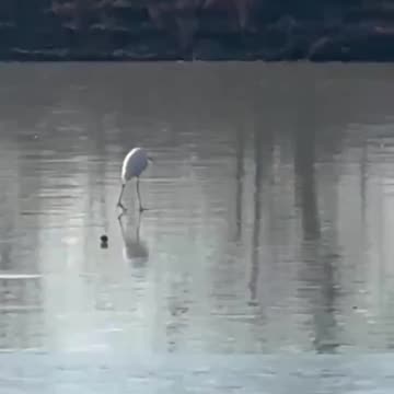 Walking on thin ice 😱