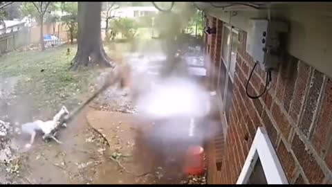 Foreign funny videos, specializing in unhappy