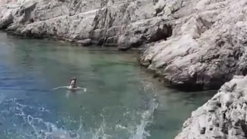 The end 😂😂😂 #viral #shorts #fails #funny #mmvfunny
