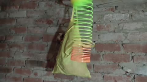 Motion real life example